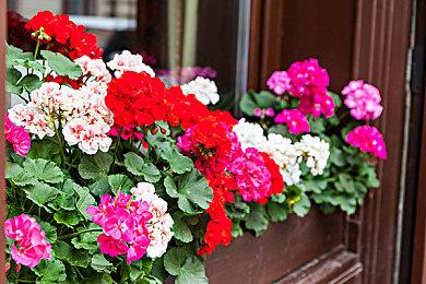 华纳《哥谭骑士》Steam页面上线 不支持中文